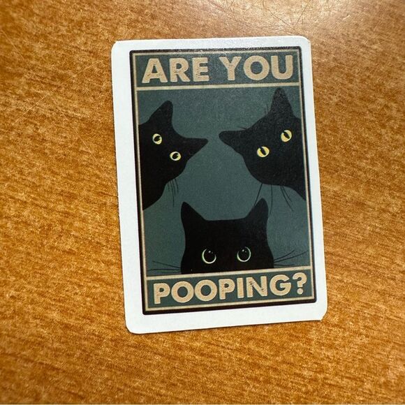 Funny Black Cat Sticker - Picture 1 of 1
